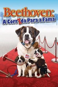 Beethoven: A Corrida para a Fama