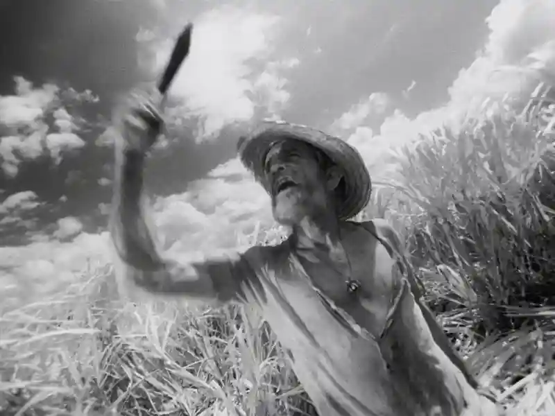 20231002 sou cuba papo de cinema