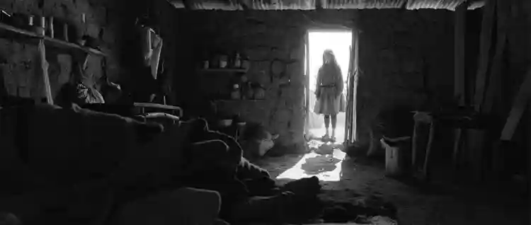 20231009 diogenes papo de cinema 750 2