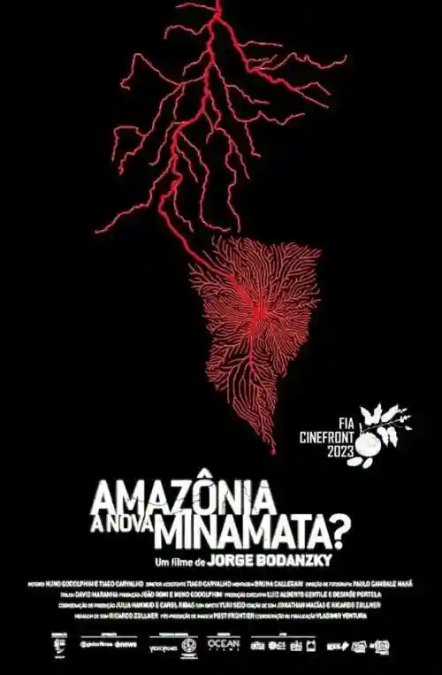 Amazônia: A Nova Minamata?
