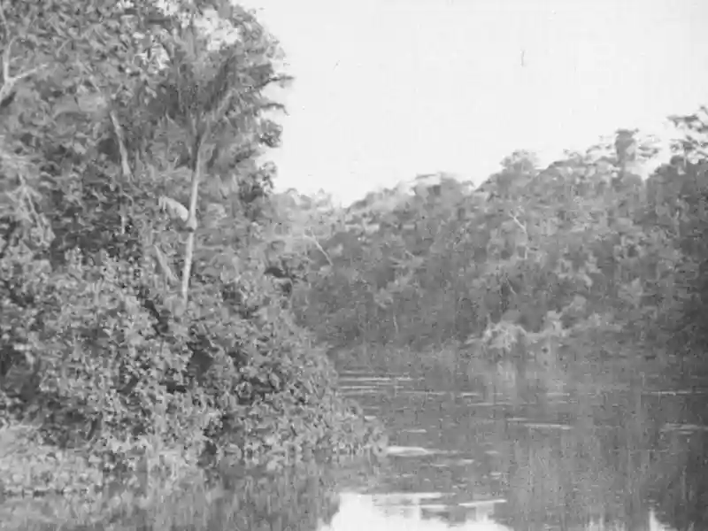 20231121 amazonas o maio rio do mundo papo de cinema 800