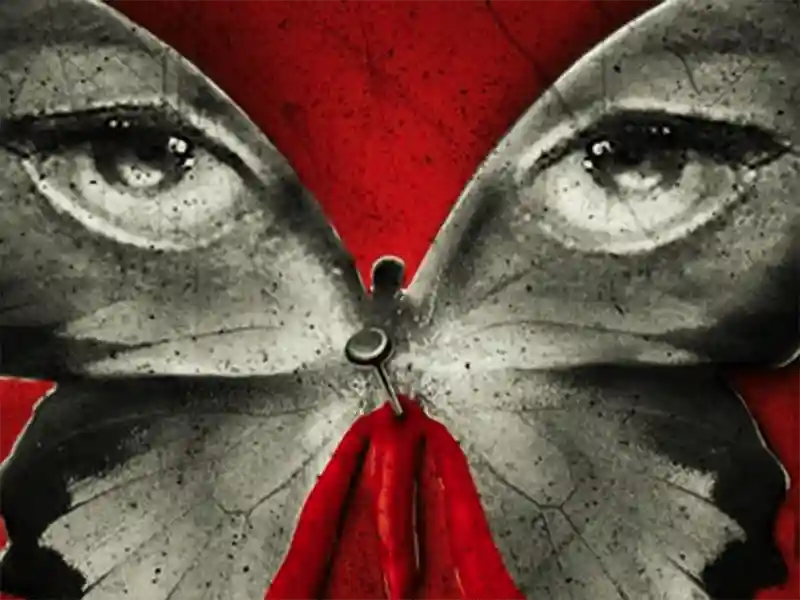 20231122 o segredo da borboleta papo de cinema 800