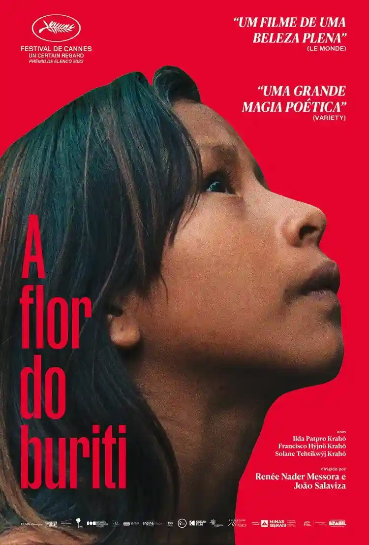 Em cartaz 8 20240613 a flor do buriti papo de cinema cartaz