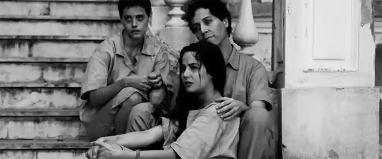 Festival de Brasília :: Começa a 56ª edição do evento. Confira destaques! 2 20231207 ninguem sai vivo daqui papo de cinema banner