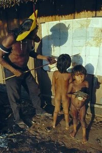 Raoni: Uma Amizade Improvável