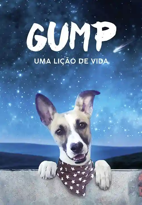 Filmes 13 Gump: Uma Lição de Vida