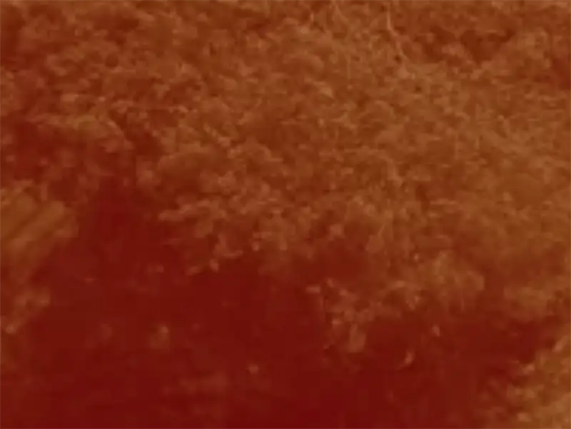 20240105 sobrevivencias papo de cinema 800 t1