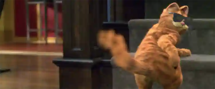 Sessão da Tarde :: Garfield: O Filme, projeto que Bill Murray se arrependeu de dublar, é atração de hoje (25/03) 2 Sessão da Tarde (25/03/2025): Garfield: O Filme