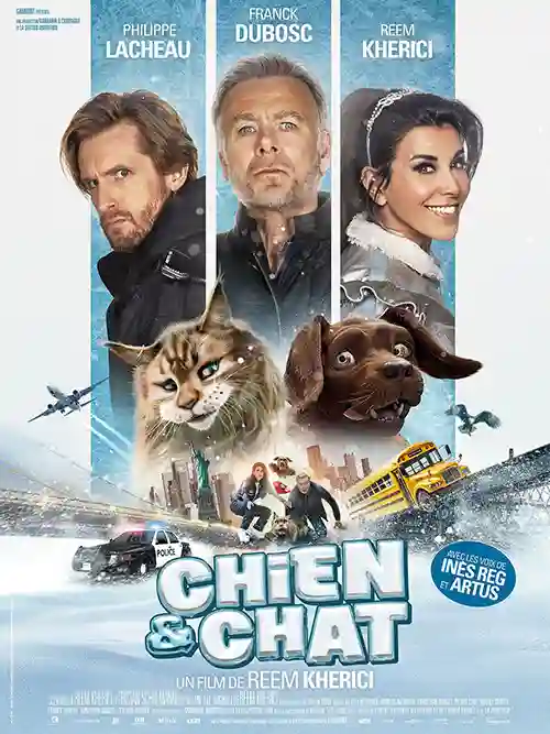 Cão e Gato