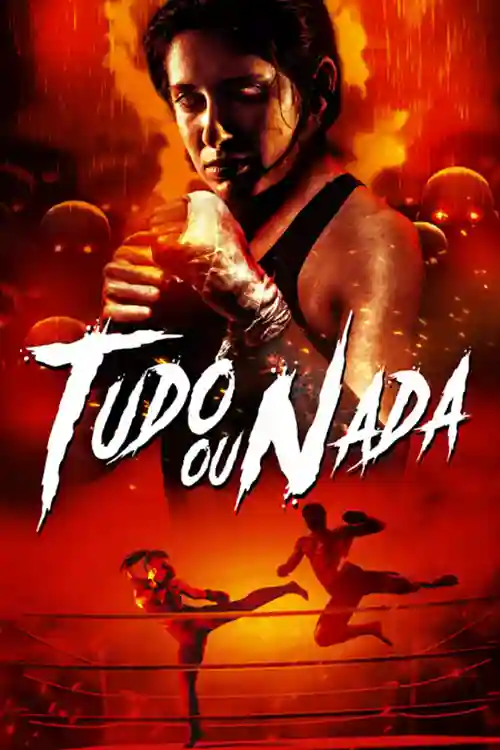 Filmes 13 Tudo ou Nada