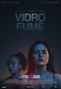 Vidro Fumê
