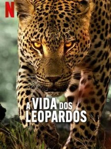 A Vida dos Leopardos
