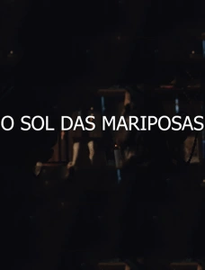 O Sol das Mariposas