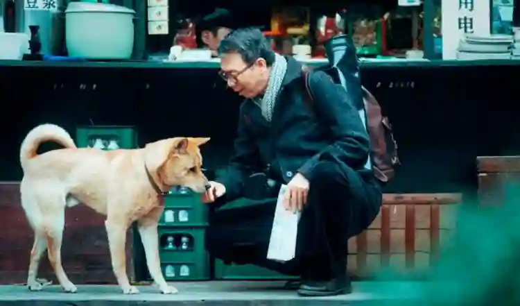 20240716 hachiko para sempre filme papo de cinema