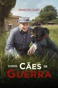 Como Cães de Guerra