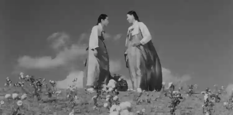 Mostra com clássicos sul-coreanos acontece na Cinemateca Brasileira em São Paulo 2 20240701 o dia do casamento papo de cinema