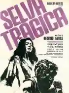 20240715 selva tragica 1963 papo de cinema crtaz