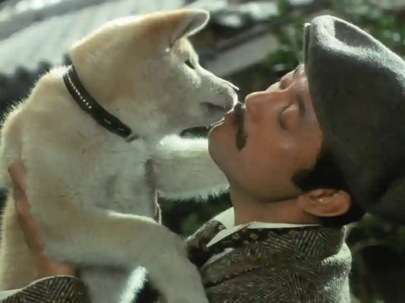 20240716 a historia de hachiko 1987 papo de cinema 800