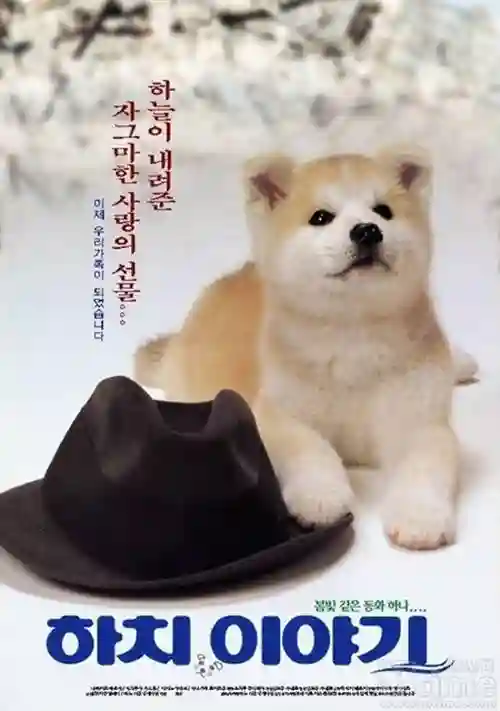 A História de Hachiko