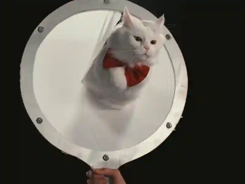 Dentro da Mente de Um Gato 4 20240807 dentro da mente de um gato papo de cinema 800