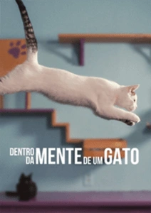 Dentro da Mente de Um Gato