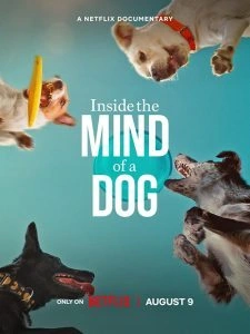 Dentro da Mente de Um Cachorro