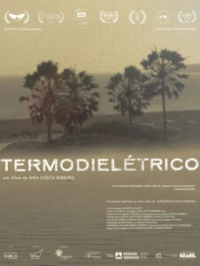 Termodielétrico