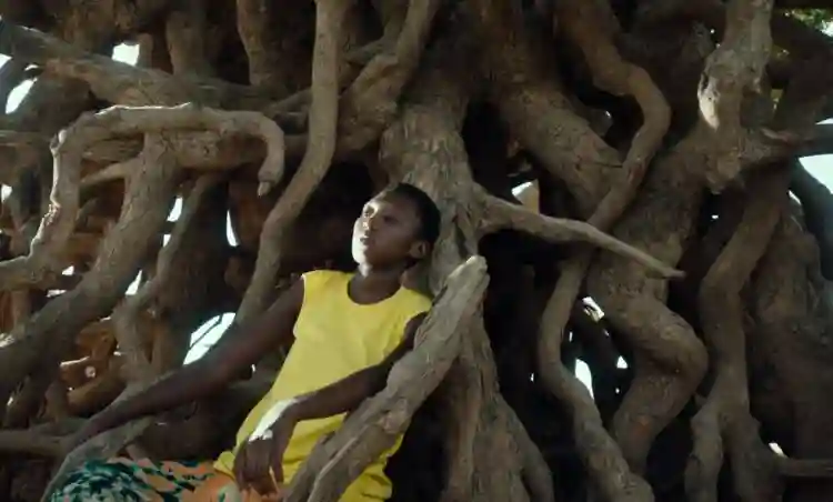20241007 banel e adama filme papo de cinema