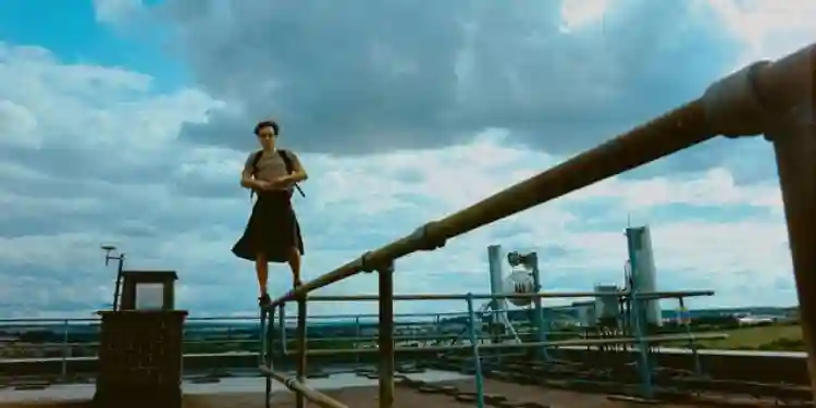20241013 bird papo de cinema 1