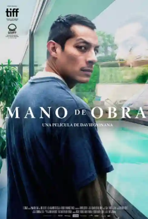 Mão de Obra