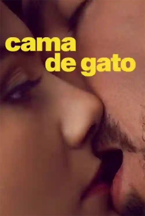 Cama de Gato