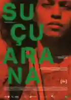 20241125 sucuarana papo de cinema cartaz
