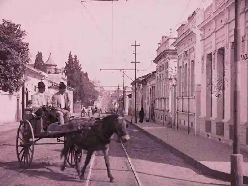 20241126 piracicaba 1922 papo de cinema 800