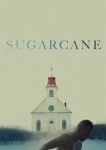Sugarcane