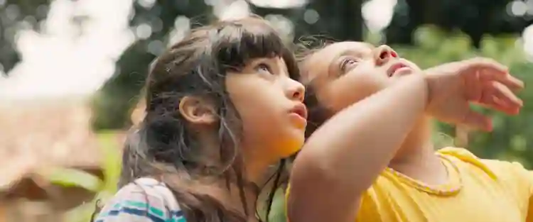 Festival de Berlim 2025 :: Lista inicial conta com 2 filmes brasileiros 3 A Natureza das Coisas Invisíveis, selecionado para o Festival de Berlim 2025
