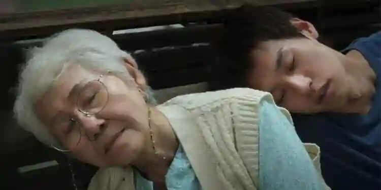 20250106 como ganhar milhoes antes que a avo morra papo de cinema 1