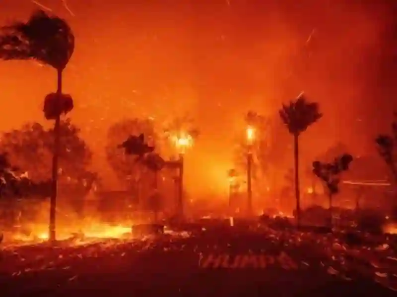 20250110 incendio los angeles papo de cinema
