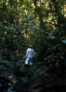 As Muitas Mortes de Antônio Parreiras