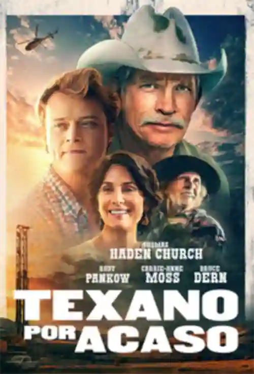 Filmes 15 Texano por Acaso