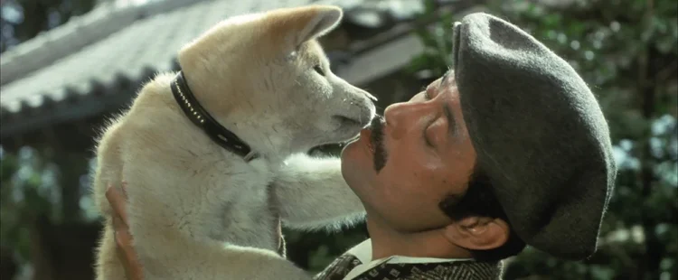 Sessão da Tarde :: História real do cãozinho de Sempre ao Seu Lado, atração de hoje (13/05), possui outros dois filmes. Saiba quais! 4 Sessão da Tarde: A História de Hachiko (1987)
