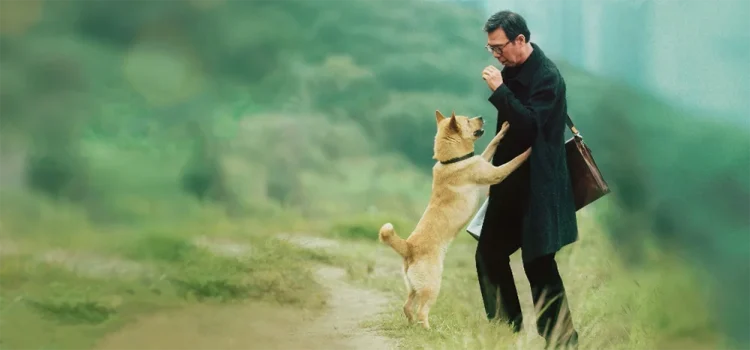 Sessão da Tarde :: História real do cãozinho de Sempre ao Seu Lado, atração de hoje (13/05), possui outros dois filmes. Saiba quais! 5 Sessão da Tarde: Hachiko: Para Sempre (2024)