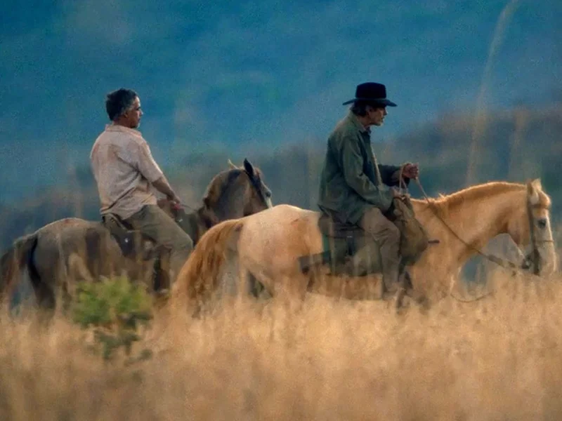 20250522 oeste outra vez papo de cinema 800
