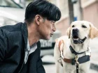 20250703 eternos companheiros 2019 papo de cinema 800
