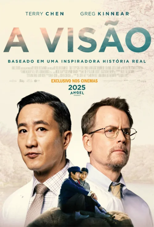 A Visão