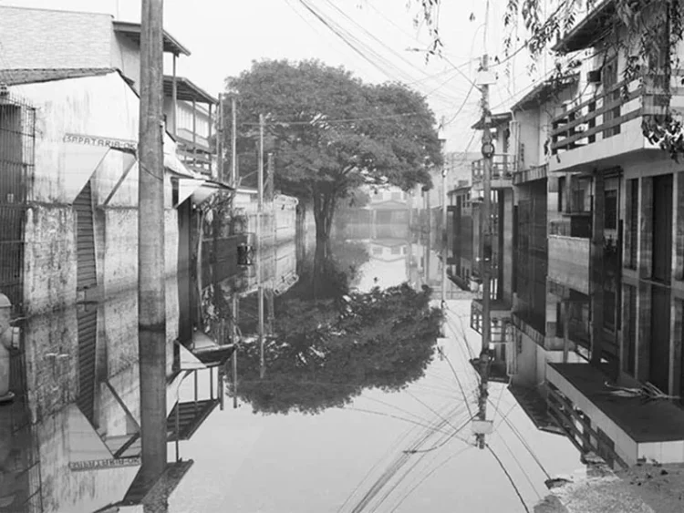 20250723 rua do pescador n 6 papo de cinema 800