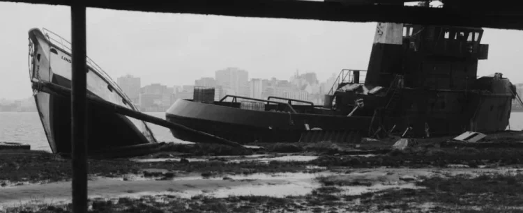 Bonito CineSur 2025 :: “Foi um documentário de guerrilha”, diz Bárbara Paz sobre Rua do Pescador Nº6 2 Rua do Pescador Nº6