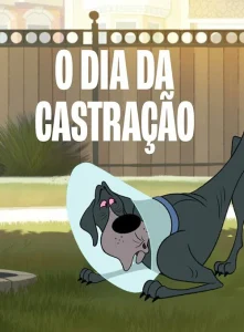 O Dia da Castração