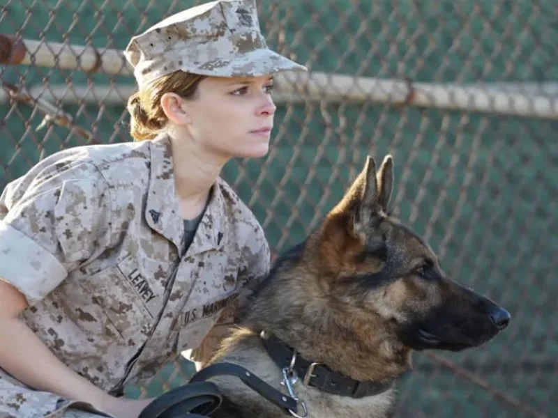 20250819 megan leavey papo de cinema 800