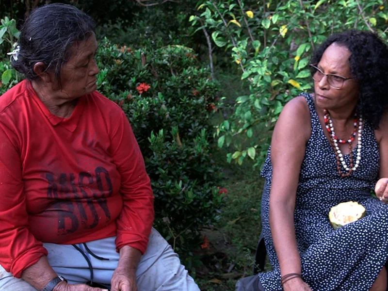 20250909 xingu a margem papo de cinema 800