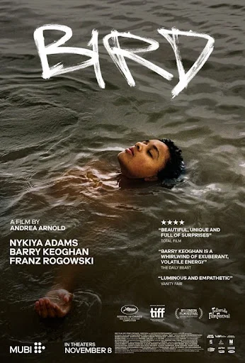 20250927 bird filme poster papo de cinema